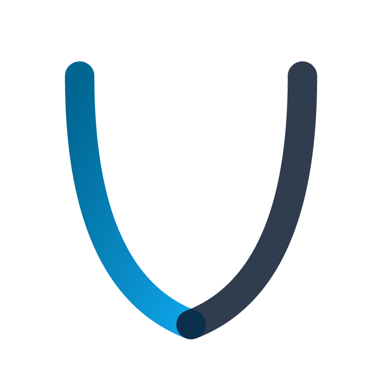 Vybera_Logo